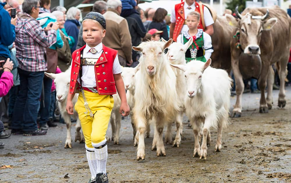 A boy in traditional clothes walks ahead of goats at the traditional cattle market in Appenzell, eastern Switzerland.