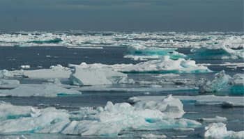 Antarctic sea ice at record high: NASA