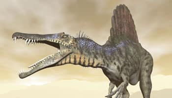 New meat-eating dinosaur species found in Venezuela