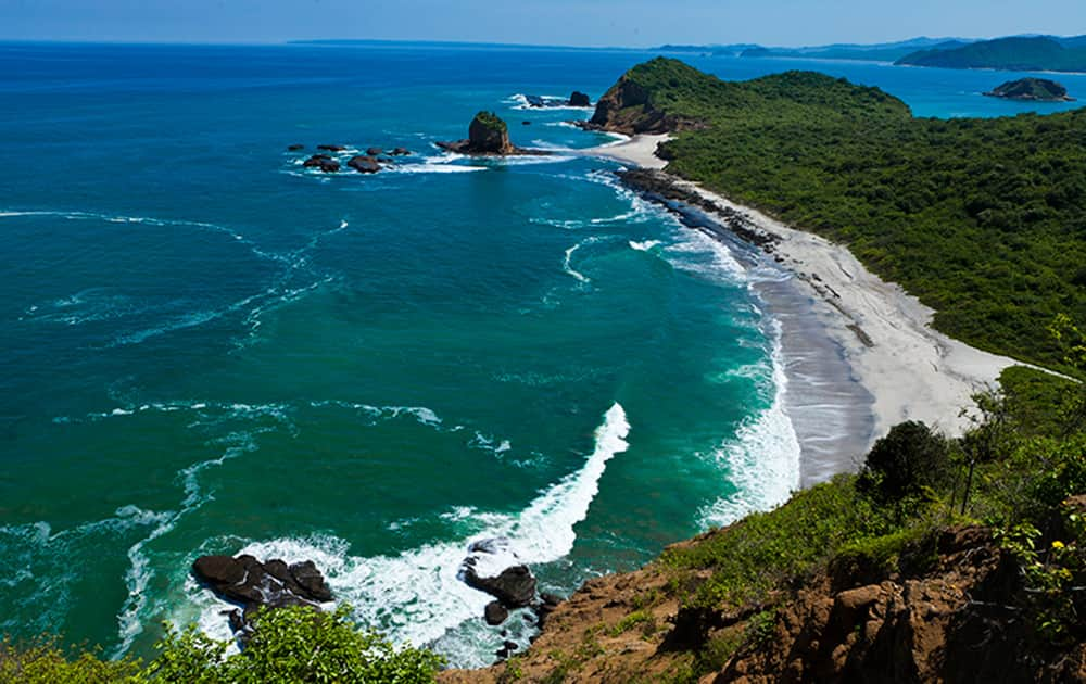 Beautiful beaches are found from north to south on the Ecuadorian Pacific coast. Alongside ports, fishing villages, and modern cities, dense protected forests grow with their gigantic and moist terracotta roots. It's Majagual forest has the world's tallest mangroves (64 meters / 194 feet).