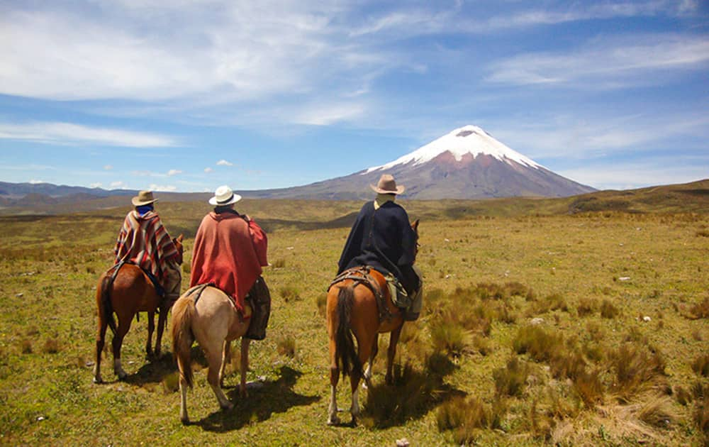 Quito, the capital of Ecuador, is the main base for the major adventure-tour operators in Ecuador. Go bird watching, paragliding, rafting, mountain biking, hiking, tubing, climbing or crossing the equatorial line on horseback!