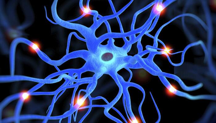 mechanism-that-regenerates-brain-cells-after-stroke-identified