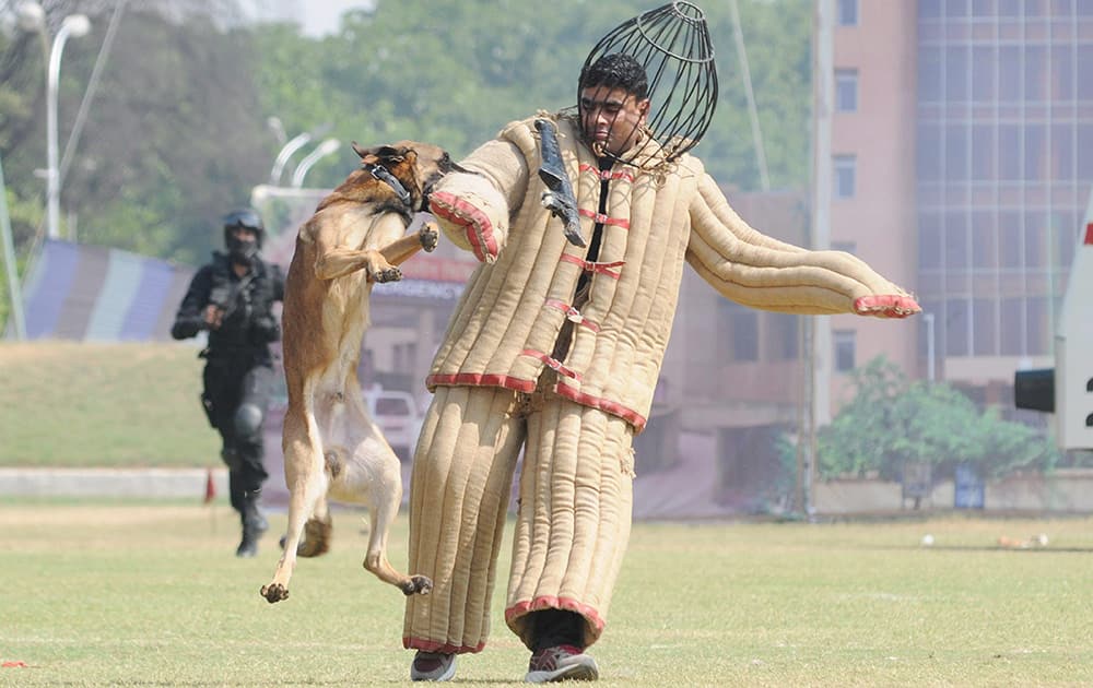 An NSG Commando shows his skills on the occasion of 30th Raising day commemoration of National Security Guard, at NSG Campus in Manesar, Gurgaon.