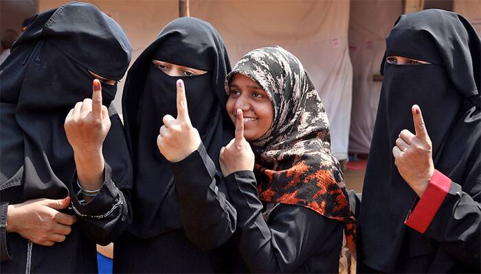 Haryana hits a new high with voter turnout | Haryana News | Zee News