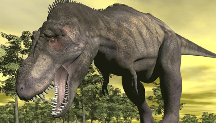 Vegetarian dino &#039;Stegosaurus&#039; used sharp tail as deadly weapon