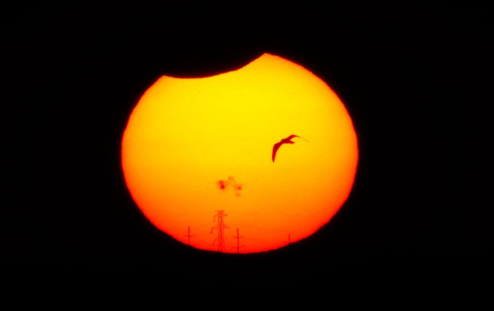 A bird flies in front of sun during a partial solar eclipse at Lake Hefner in Oklahoma.