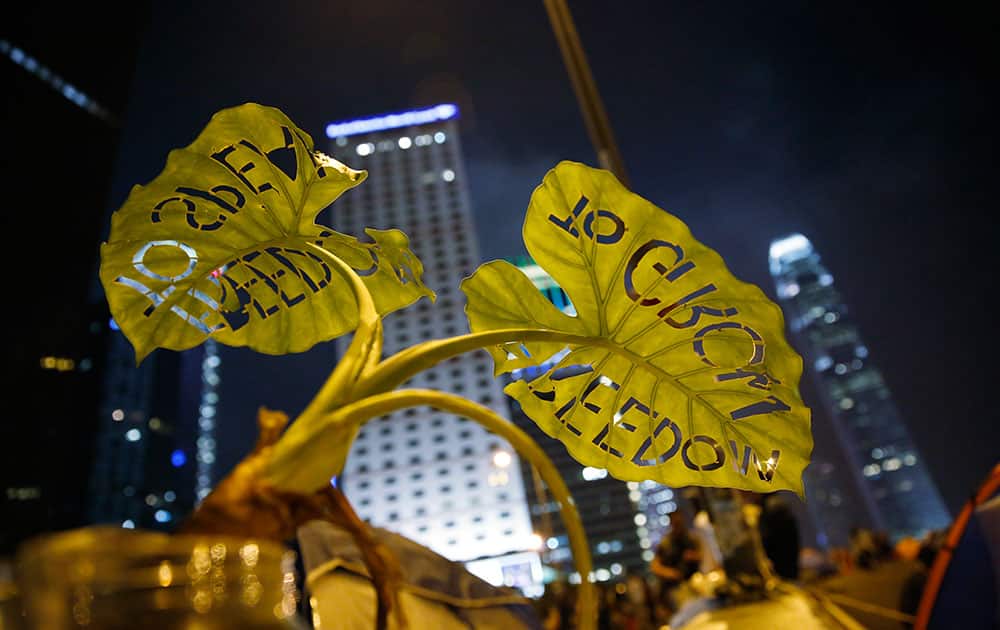 A plant with words cutout `To grow freedom, to speak freedom` is displayed at the occupied area in Central of Hong Kong.
