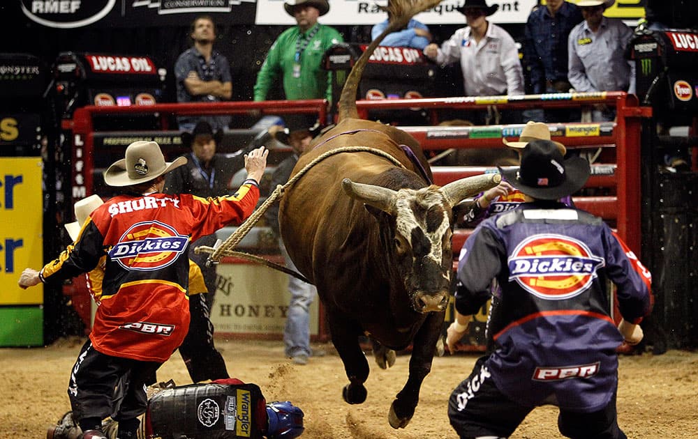 Mike Lee attempts to ride Bushwacker at the 2014 Professional Bull Riders World Finals at the Thomas and Mack Arena in Las Vegas.