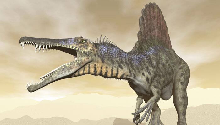 Why dinos had feathers long before early birds first attempted flight  