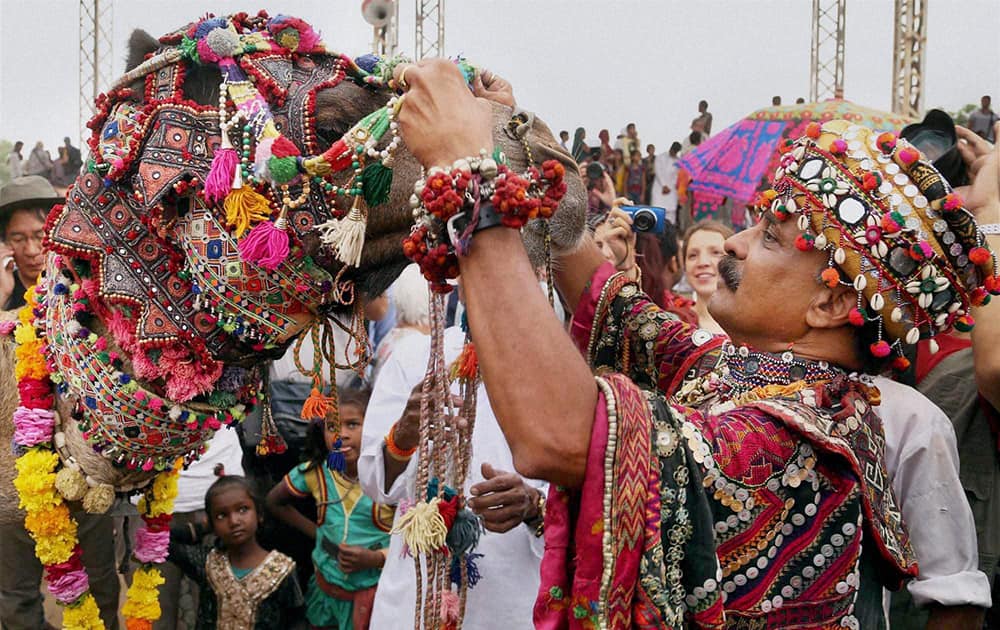 A man, decorating his camel during the inauguration programme of Pushkar Camel fair.