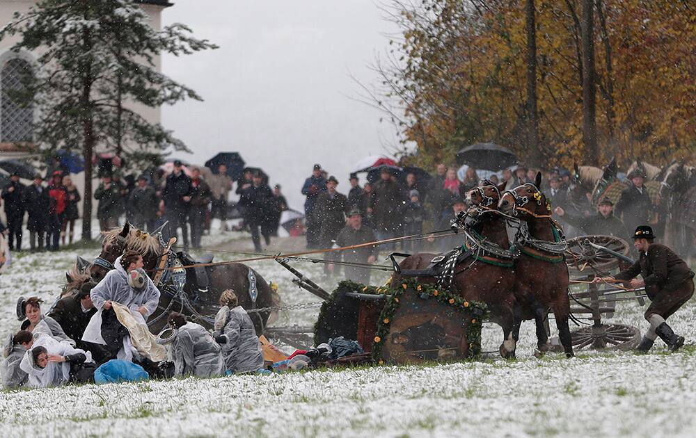 A man tries to hold bolted horses after a carriage tilted over during the traditional Leonhardi pilgrimage in Bad Toelz, southern Germany.