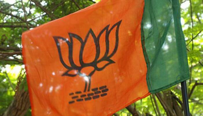 BJP parliamentary board discusses Goa succession