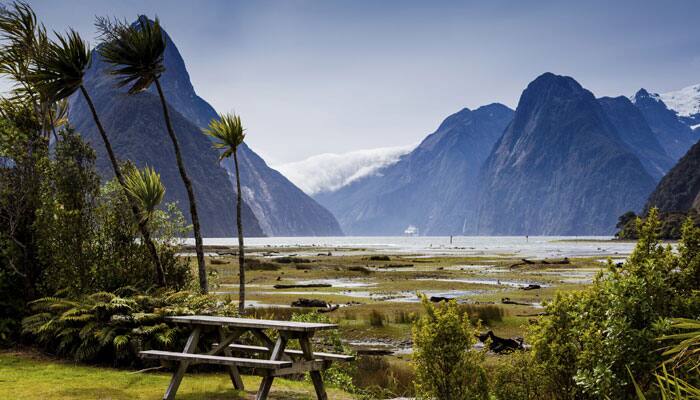 Expecting World Cup windfall, NZ tourism eyes 33% more Indians