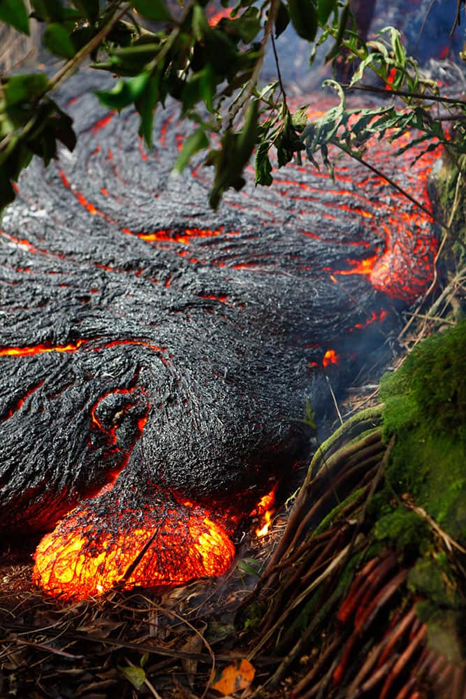This photo taken and released by the US Geological Survey shows a `toe` of Pahoehoe lava oozing out of the edge of the main flow, about 328 yards upslope of the leading edge of the flow, near the town of Pahoa, Hawaii.