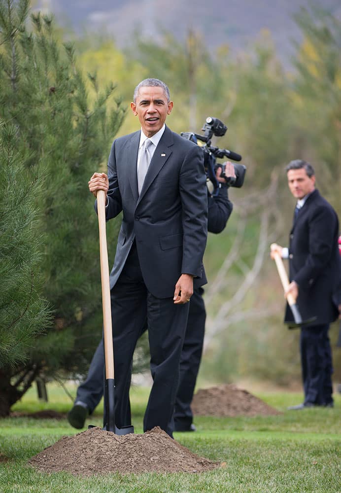 US President Barack Obama, left, and Mexican President Enrique Pena Nieto, right, join other world leaders during a tree planting ceremony at Friendship Lawn, Yanqi Lake for the Asia-Pacific Economic Cooperation (APEC) Summit, in Beijing.