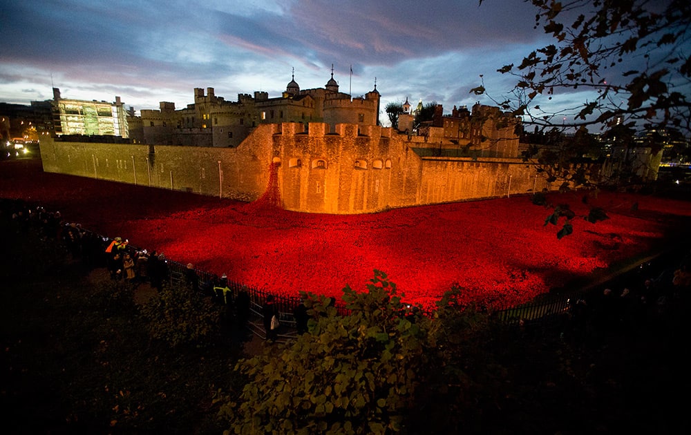 The near completed ceramic poppy art installation by artist Paul Cummins entitled 'Blood Swept Lands and Seas of Red' is seen lit up before sunrise in the dry moat of the Tower of London in London.