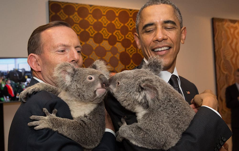 US President Barack Obama, right, and Australia's Prime Minister Tony Abbott hold koalas during a photo opportunity on the sidelines of the G-20 summit in Brisbane, Australia. 