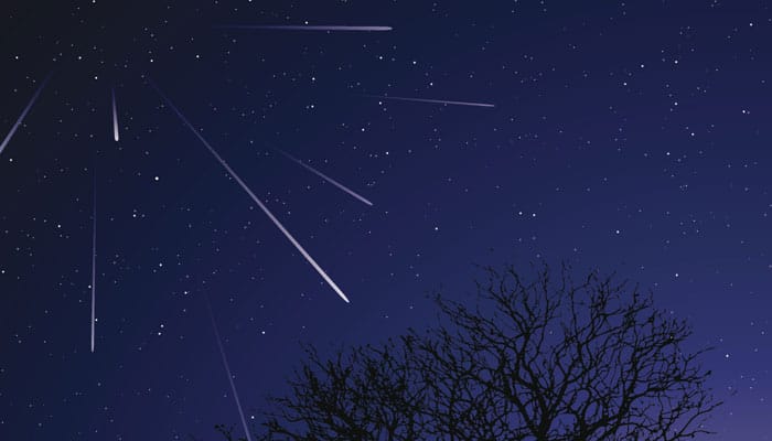 Celestial treat: Leonid meteor shower to peak across US East coast tonight 