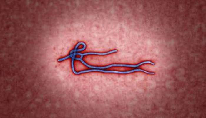Man tests positive for Ebola, kept under isolation at Delhi airport