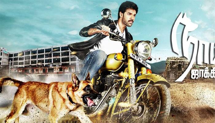 ‘Naaigal Jaakirathai&#039; review: Entertaining, but beware of cliches 