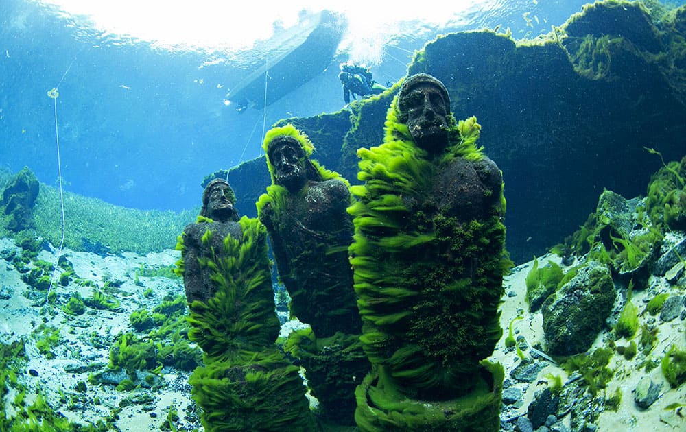 the Eye Spy statues, overgrown with algae after going years without any cleaning, are seen under the water at Silver Springs State Park in Ocala, Fla.