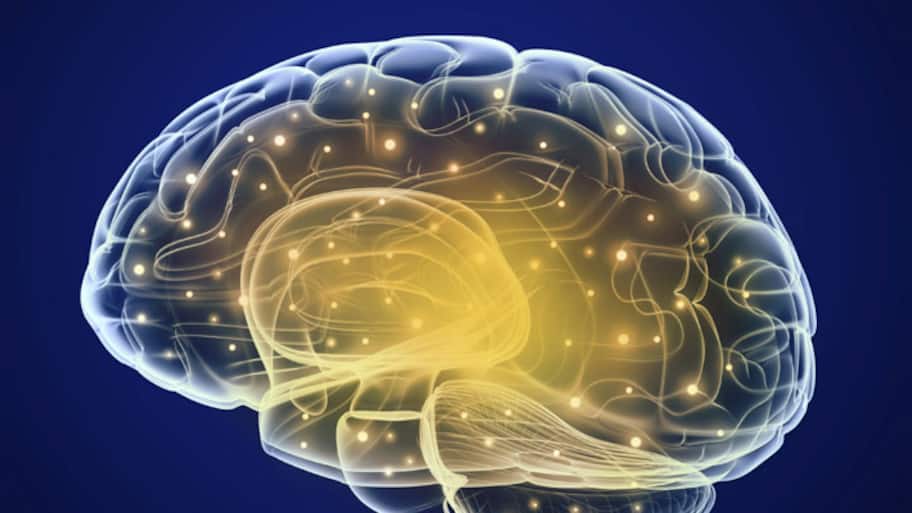 Gateway to human memory in brain identified