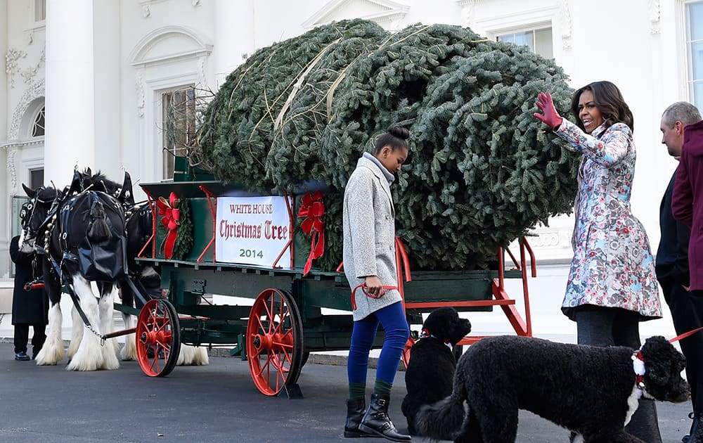 First lady Michelle Obama, waves to the press after welcoming the Official White House Christmas Tree to the White House in Washington.