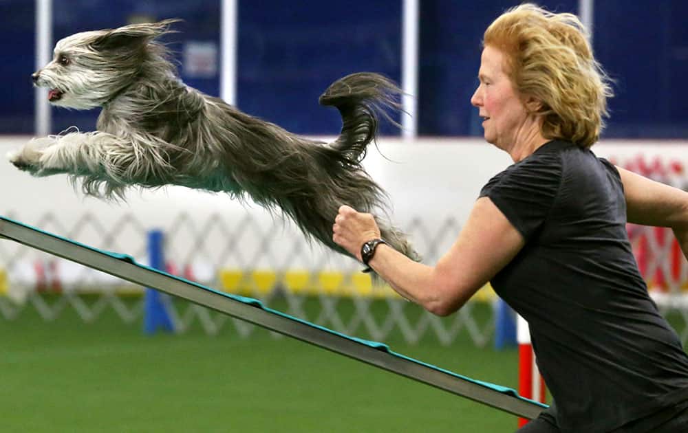 Brooke Ellsworth of Delaplane, Va. runs with her dog Pooka as he sails up a ramp during the Blue Ridge Dog Training Club's AKC Dog Agility Trials in Kernstown, Va.
