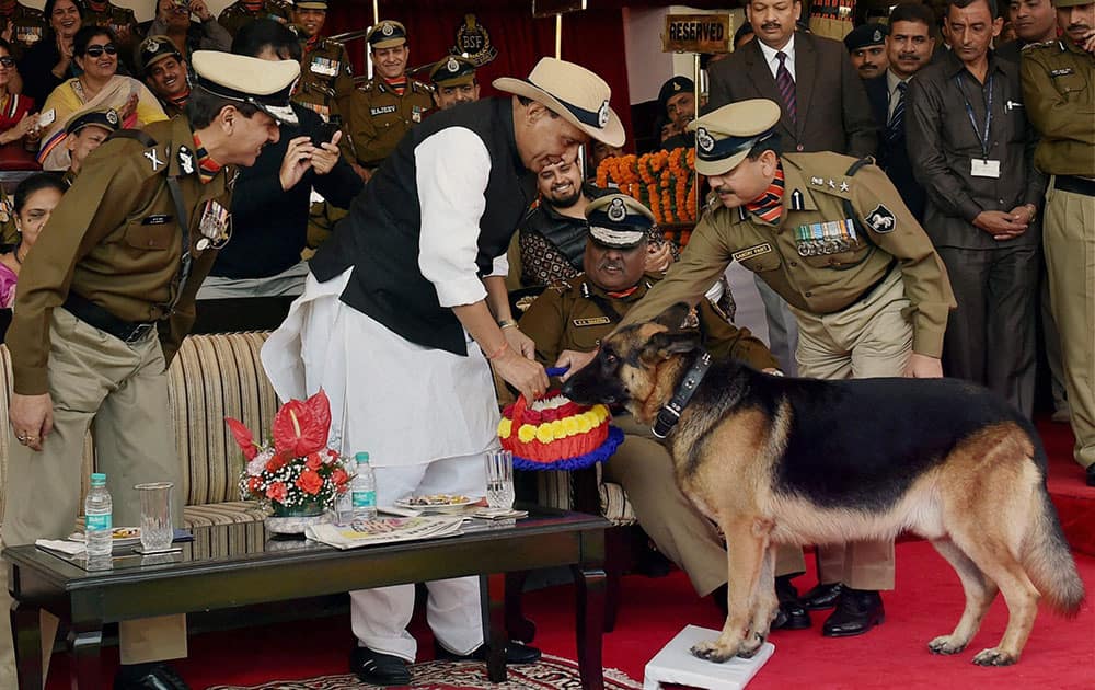  A BSF dog presents a bouquet to Home Minister Rajnath Singh during the 49th Raising Day function of the force in New Delhi.