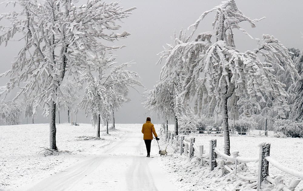 A woman walks a dog through the ice and snow covered landscape near Winterberg, western Germany.