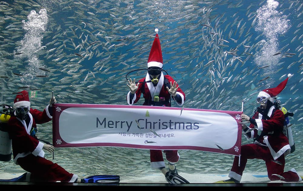 Dressed in a Santa Claus outfit, divers hold a banner to show visitors ahead of the upcoming Christmas at the Coex Aquarium in Seoul, South Korea.