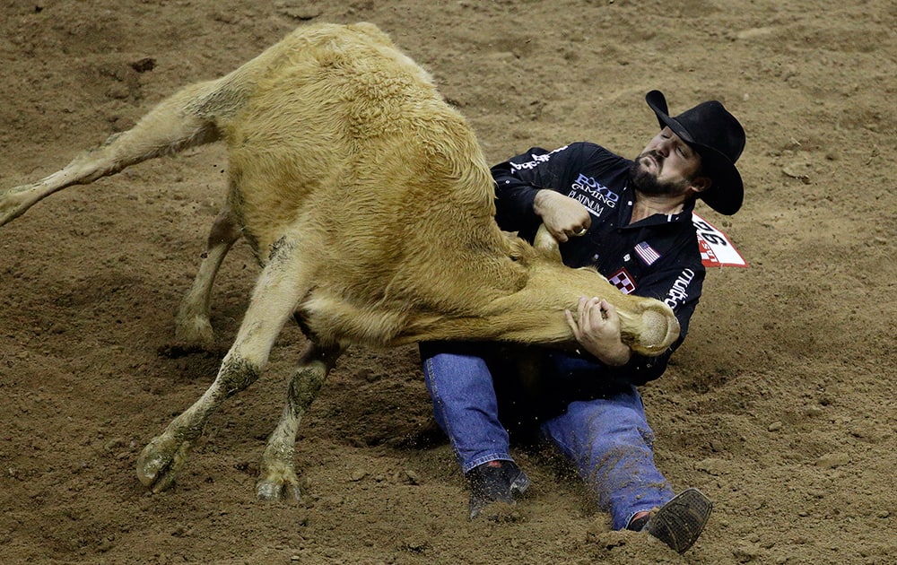 Steer wrestler Luke Branquinho from Los Alamos, Calif., takes down a steer during the ninth go-round of the National Finals Rodeo, in Las Vegas.