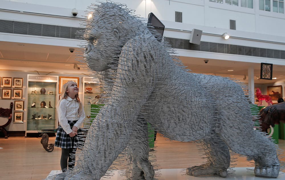 A girl stands next to an art installation depicting a gorilla entitled 'Silver Back' by artist David Mach, as she poses for the photographers during a press preview of a themed auction that features the animal as artistic inspiration, entitled 'Creatures Great and Small', in London.