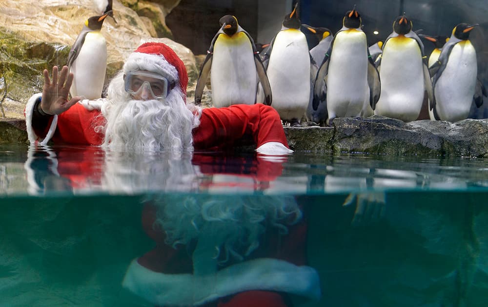 A man dressed as Santa Claus poses for photographers with king penguins at the Marineland animal exhibition park in Antibes, southeastern France.