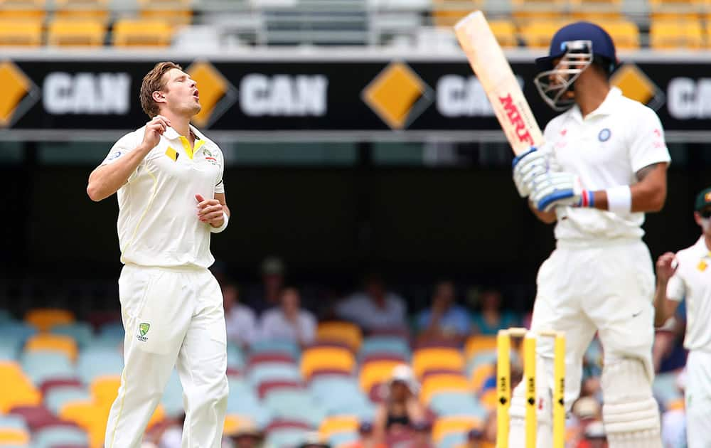 Australia's Shane Watson appeals for the wicket of Virat Kohli, during their match on day four of the second cricket test against India in Brisbane, Australia.