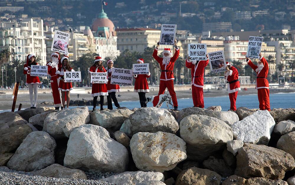 Activists from the coalition to abolish the fur trade, dressed as Santa Claus, demonstrate with signs showing animals skinned alive on the beach of Nice, southern France.