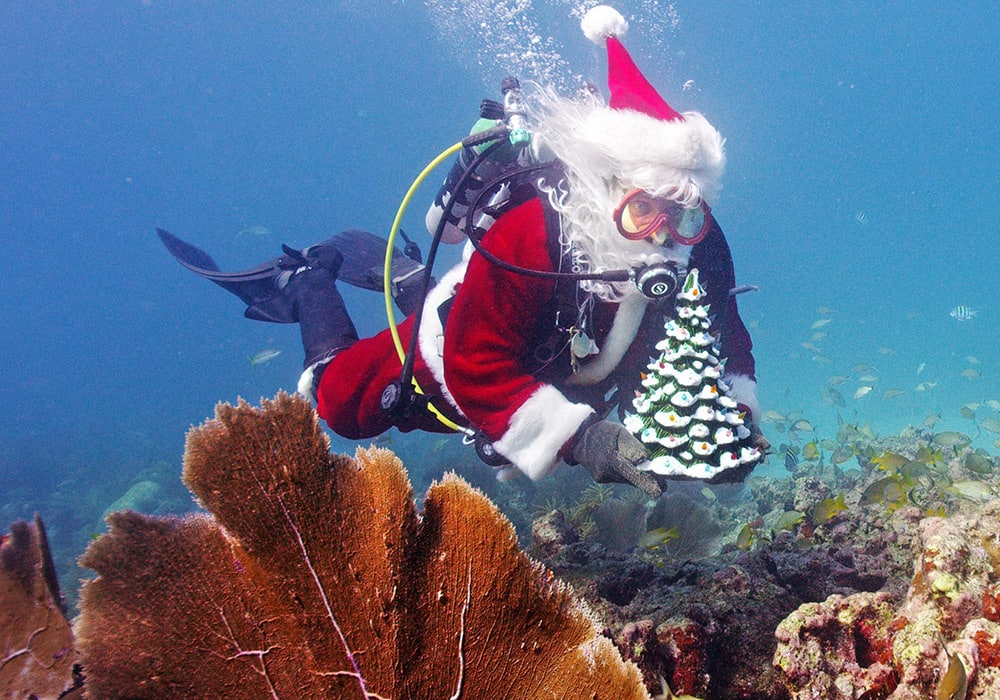 Spencer Slate, garbed as Santa Claus, scuba dives in the Florida Keys National Marine Sanctuary off Islamorada, Fla. Each year, Slate dons the costume to provide underwater holiday photo opportunities for his dive shop customers as a fundraiser to sponsor Christmas gifts for a local childrens charity.