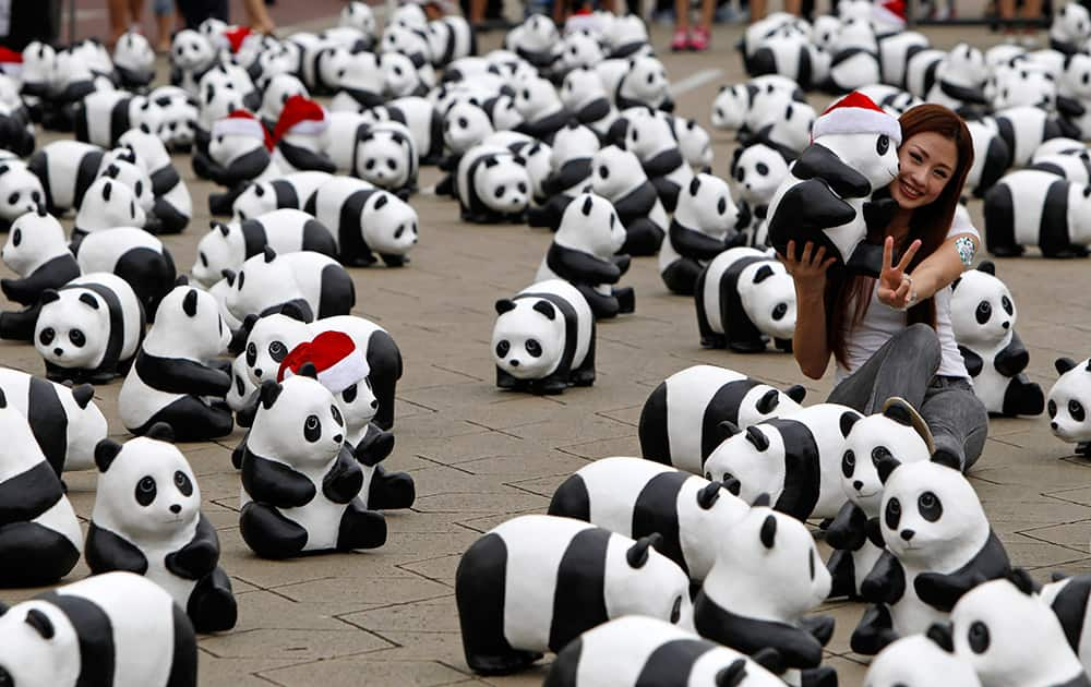 A woman poses for photographers with the part of the 1,600 paper pandas, created by French artist Paulo Grangeon, in front of the Sultan Abdul Samad Building during the month-long 