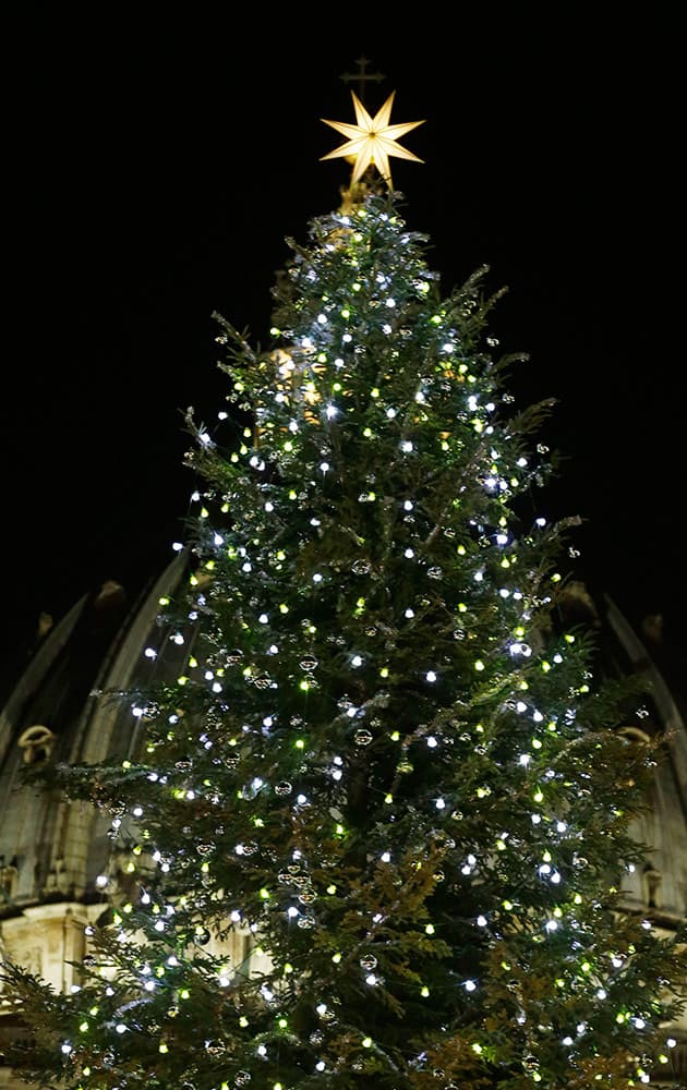 The 25.5 meters (83.66 ft), 70-year old Christmas tree is lit in St. Peter's square at the Vatican.