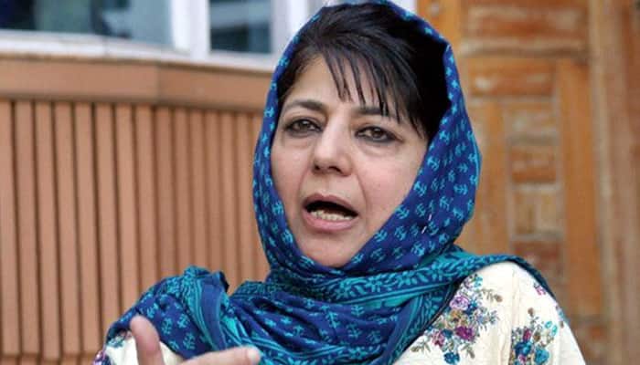 Will form next Kashmir government on our own, says PDP