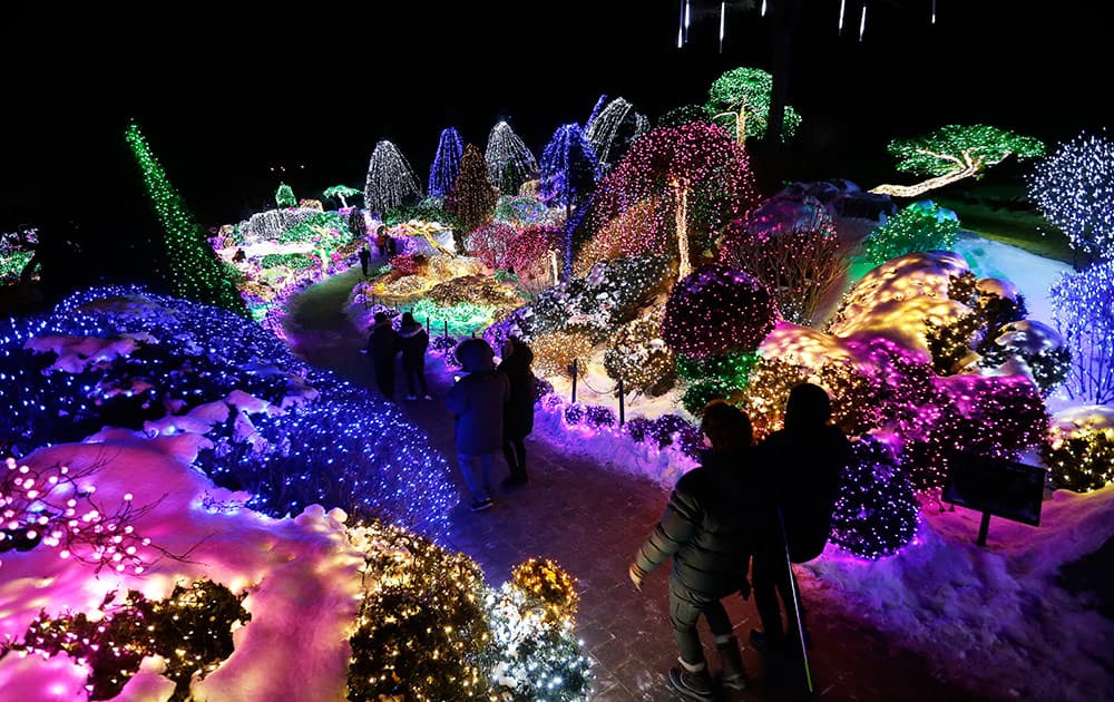 Visitors are silhouetted with decorated lights on trees to celebrate the upcoming Christmas and New Year at Garden of Morning Calm in Gapyeong, South Korea, Monday.