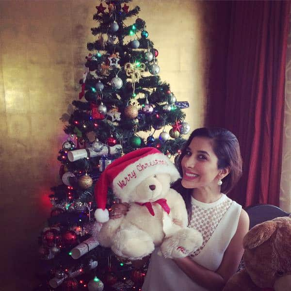 SOPHIE CHOUDRY ‏:- #MerryChristmas everyone! Peace, health, happiness to u all Wish it was more wintery in Mumbai but still love #Xmas - Twitter