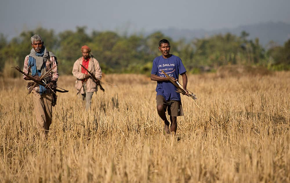 Tribal men walk with their bow and arrow on a field at Sonajuli village in Sonitpur district of Indian eastern state of Assam.