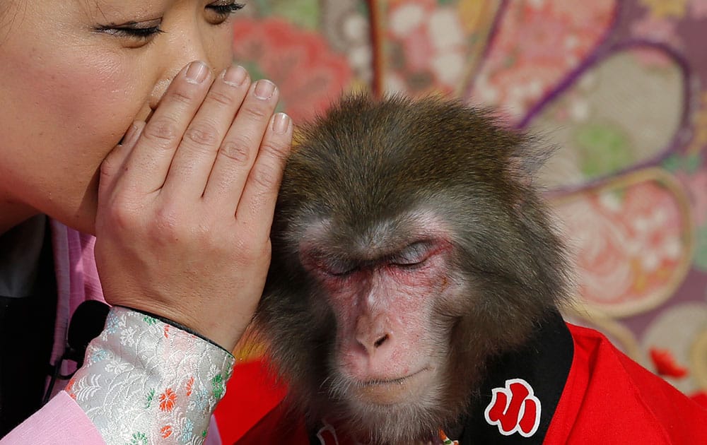 Ponta the monkey gestures to listen to a monkey trainer during their performance in Tokyo.