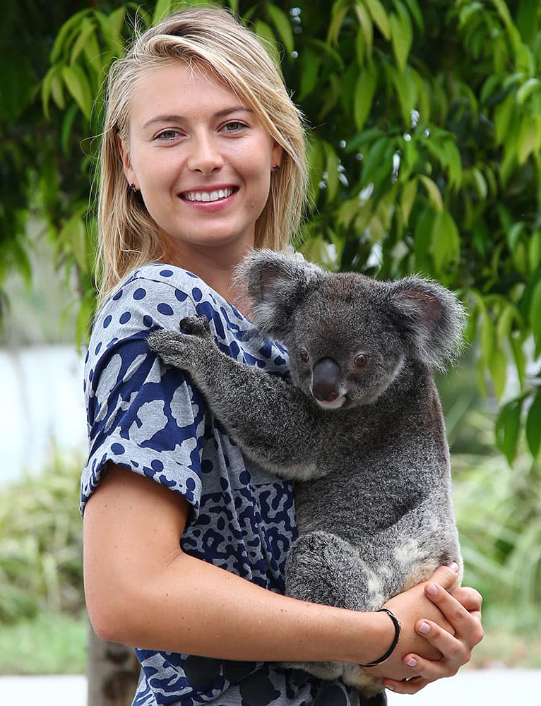 Maria Sharapova of Russia gets up close with Sinnamon, a koala from Lone Pine Koala Sanctuary, in Brisbane, Australia.