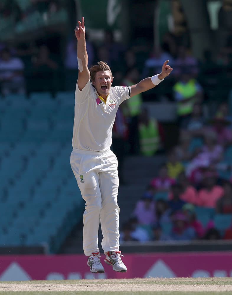 Australia's Shane Watson jumps up after taking the wicket of India's Suresh Raina, caught behind for no score, on the third day of their cricket test match in Sydney.