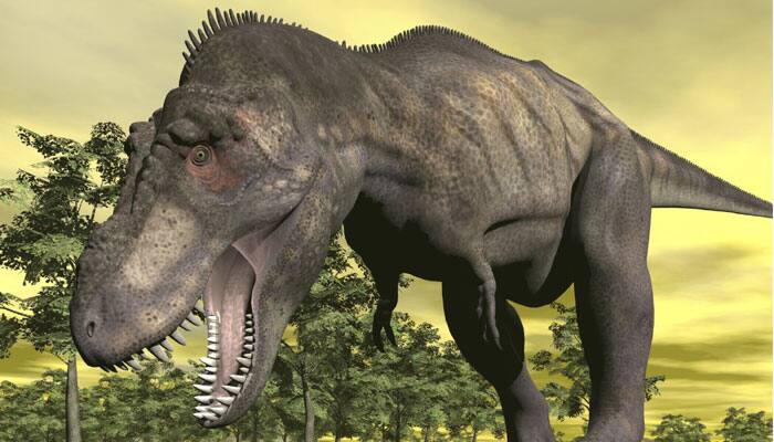 Fossils confirm asteroid killed dinosaurs rapidly in Europe 66 million yrs ago