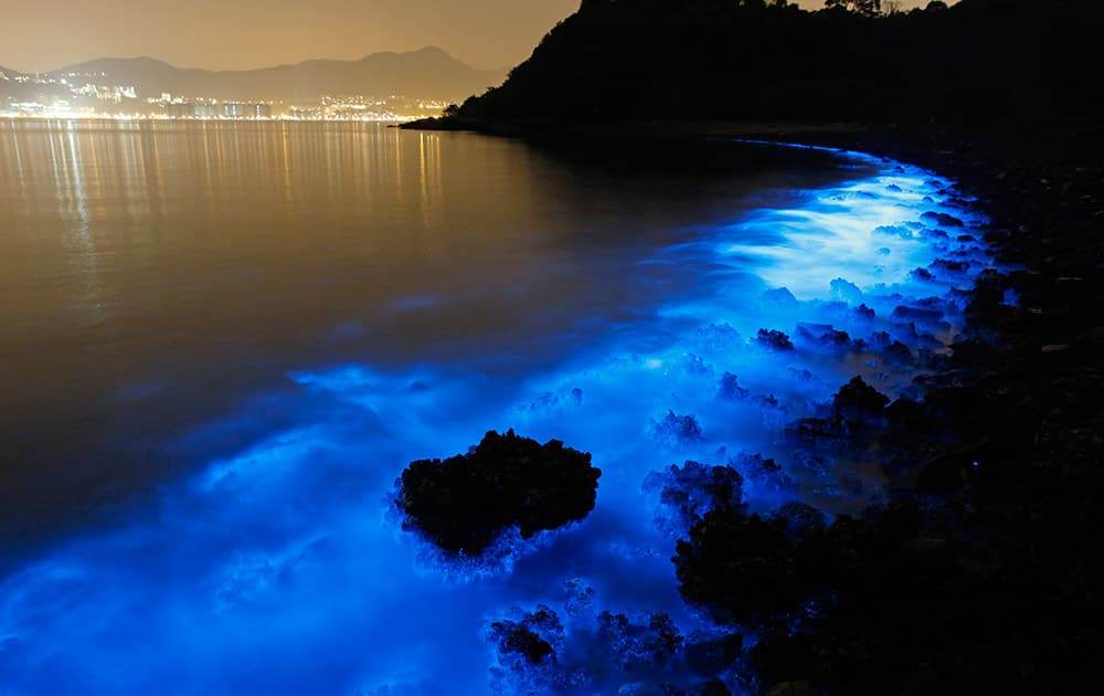 This photo made with a long exposure shows the glow from a Noctiluca scintillans algal bloom along the seashore in Hong Kong. The luminescence, also called Sea Sparkle, is triggered by farm pollution that can be devastating to marine life and local fisheries, according to University of Georgia oceanographer Samantha Joye.
