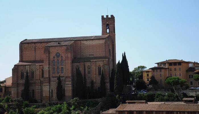 Explore Siena, a land of races, contradas and saints