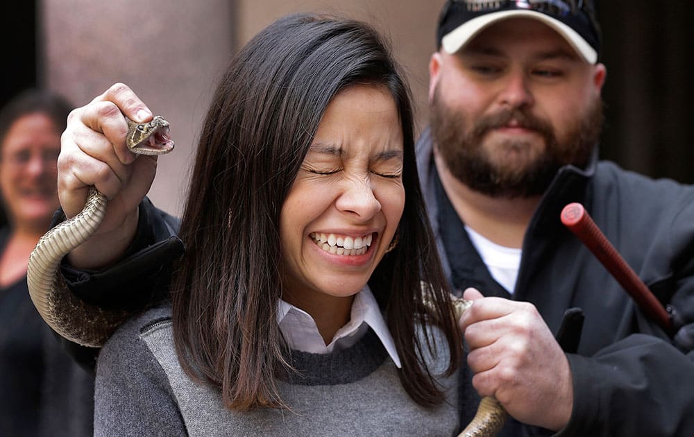 Lauren Cachbaux grimaces as she poses with a rattlesnake at the Capitol, in Austin, Texas. Members of the Sweetwater Jaycees brought rattlesnakes to promote their annual rattlesnake round-up and help educate visitors.